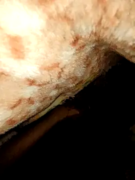 rohit16770 online show from January 18, 2026, 7:06 pm