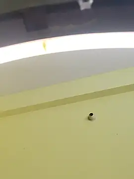 Snapshot of trinasa chatting on January 9, 2026, 8:10 pm trinasa online show from January 9, 2026, 8:10 pm