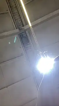 Dildogang online show from February 11, 2026, 2:49 am