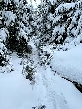 Marina und Jayden online show from February 18, 2026, 2:24 pm