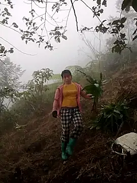 cdyyds-69 online show from January 15, 2026, 1:54 am