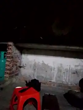 cdyyds-69 online show from February 2, 2026, 10:41 pm