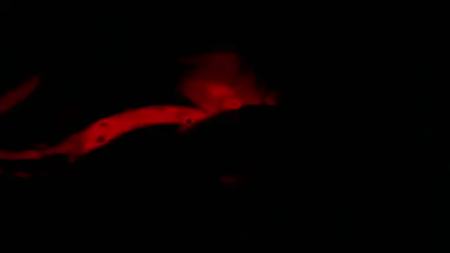 Snapshot of twink_gabrielll chatting on January 12, 2026, 2:28 am twink gabrielll online show from January 12, 2026, 2:28 am