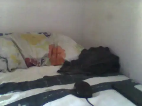 handsomeguy02 online show from April 14, 2026, 2:45 pm