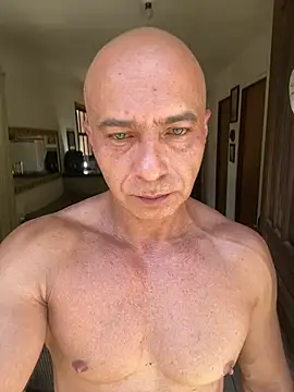 dogfrota online show from February 5, 2026, 3:16 pm