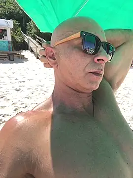 dogfrota online show from February 12, 2026, 5:41 pm