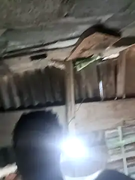 Snapshot of Pasivitoii chatting on March 21, 2026, 8:01 pm Pasivitoii online show from March 21, 2026, 8:01 pm