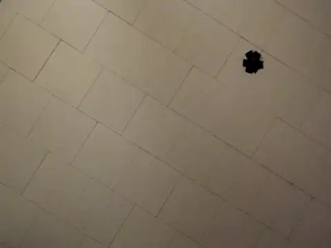 sterng6969 online show from April 9, 2026, 8:09 am