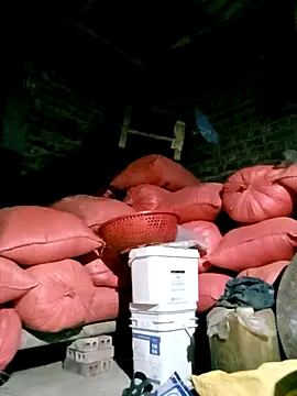 Diana-02 online show from March 29, 2026, 12:16 pm