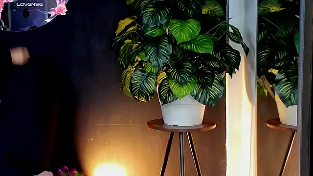 Noaah25  online show from April 10, 2026, 3:23 am