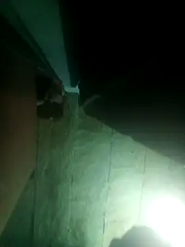 priyasharma899 online show from March 13, 2026, 12:06 am