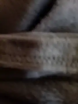 Snapshot of Daisy91 chatting on January 14, 2026, 3:06 pm Daisy91 online show from January 14, 2026, 3:06 pm