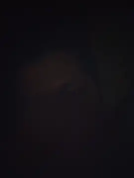 Pravin9562 online show from March 4, 2026, 7:09 pm