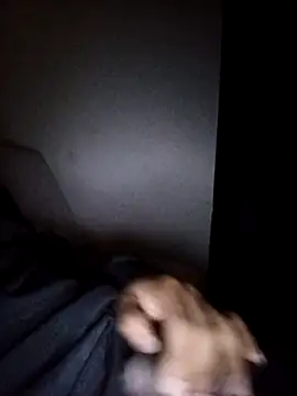 Snapshot of CorrectMusic2 chatting on February 11, 2026, 9:03 am CorrectMusic2 online show from February 11, 2026, 9:03 am