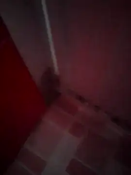 Cz Drax online show from February 11, 2026, 6:24 pm