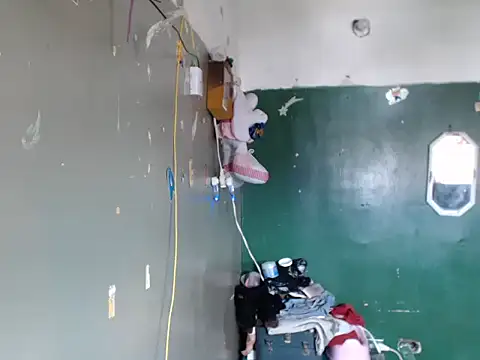 ShanayapkopRs online show from June 15, 2026, 2:30 pm