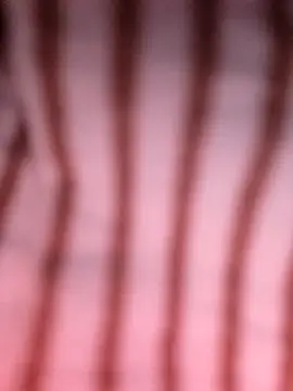 Snapshot of Heo_xxinhxx chatting on April 14, 2026, 11:11 pm Heo xxinhxx online show from April 14, 2026, 11:11 pm