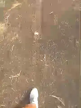 jhenyseducao online show from March 18, 2026, 11:02 am