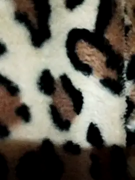 dilduarte26 online show from July 25, 2026, 1:19 pm