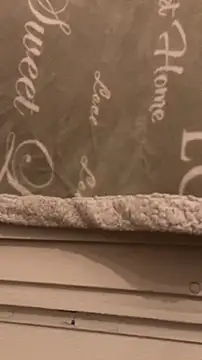 BadyAndShay5 online show from March 22, 2026, 10:46 pm