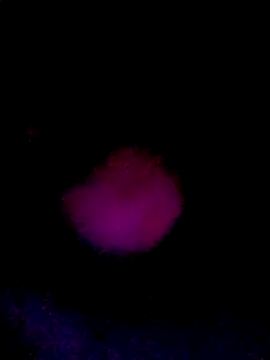 061190 online show from March 22, 2026, 2:20 pm