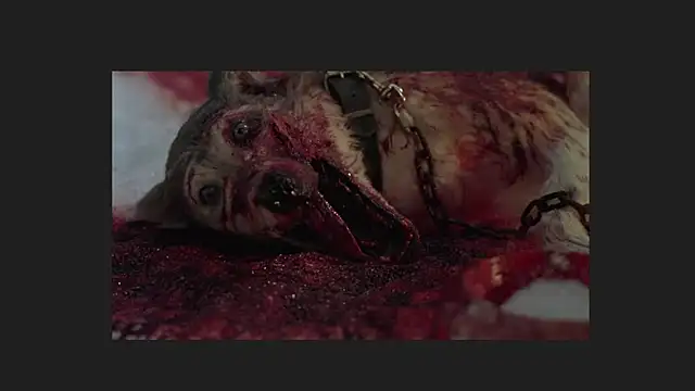 lil monikaa online show from April 12, 2026, 1:54 am