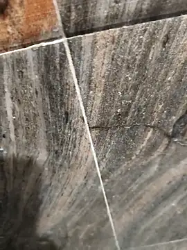 Bengal Tiger420 online show from April 17, 2026, 6:33 pm