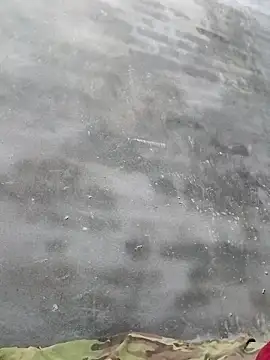 Sgs594802799 online show from April 2, 2026, 1:20 pm