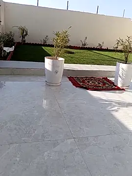 Romantic rakesh 12 online show from February 15, 2026, 10:47 am