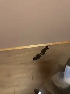 Snapshot of kin-y7 chatting on February 7, 2026, 3:43 am kin-y7 online show from February 7, 2026, 3:43 am