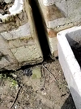 Queen-love45 online show from March 1, 2026, 3:41 am