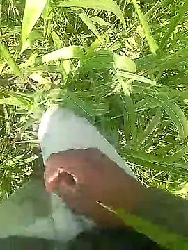 Cute Boy 4 online show from March 31, 2026, 6:03 am