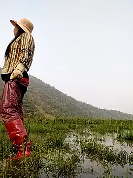 Tina-beo online show from April 2, 2026, 9:29 am