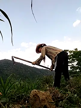 Tina-beo online show from April 10, 2026, 8:19 am