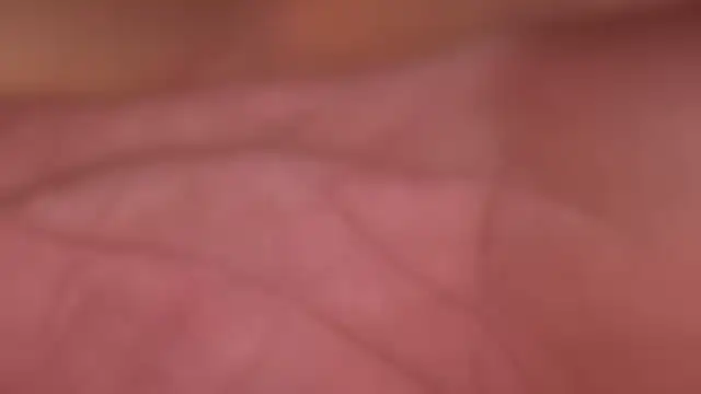 ctguybj online show from June 22, 2026, 4:42 am