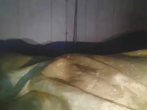 Snapshot of Prikev38452 chatting on April 11, 2026, 7:45 am Prikev38452 online show from April 11, 2026, 7:45 am