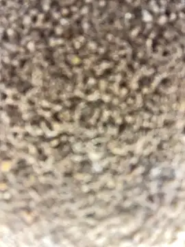 Namipeitudinha online show from February 16, 2026, 4:58 pm