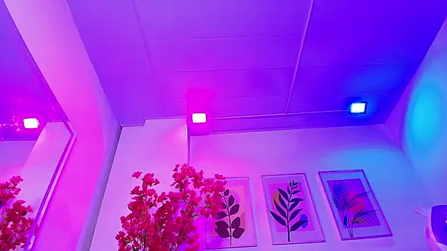 Maddie T18 online show from February 4, 2026, 11:42 pm