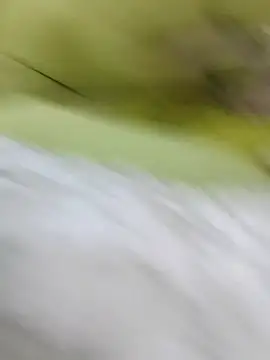 Snapshot of ONixCris chatting on February 20, 2026, 5:24 pm ONixCris online show from February 20, 2026, 5:24 pm