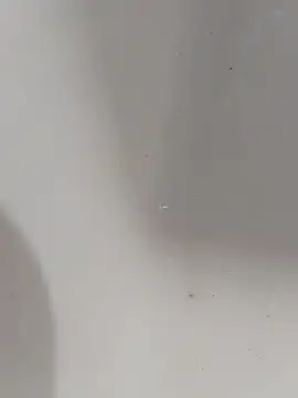 ONixCris online show from March 13, 2026, 6:20 am