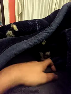 Snapshot of rubitrides11 chatting on February 11, 2026, 7:41 pm rubitrides11 online show from February 11, 2026, 7:41 pm