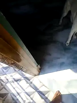 Snapshot of rubitrides11 chatting on February 18, 2026, 6:09 am rubitrides11 online show from February 18, 2026, 6:09 am