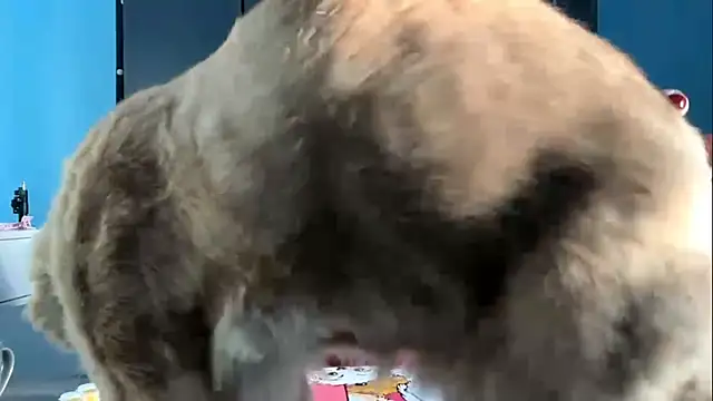 Snapshot of AndreeMerryman chatting on February 5, 2026, 8:08 am AndreeMerryman online show from February 5, 2026, 8:08 am