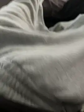 Snapshot of bugballs1 chatting on February 20, 2026, 11:38 pm bugballs1 online show from February 20, 2026, 11:38 pm