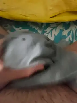 Snapshot of birzevkmeselesi chatting on February 10, 2026, 8:57 pm birzevkmeselesi online show from February 10, 2026, 8:57 pm