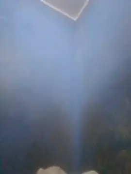 S7LEALTADPERVLIMA7 online show from April 12, 2026, 6:02 pm