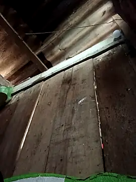 Snapshot of Small_flower1 chatting on February 10, 2026, 2:04 am Small flower1 online show from February 10, 2026, 2:04 am