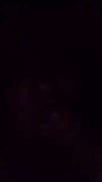 TululipuZ online show from March 29, 2026, 4:56 am