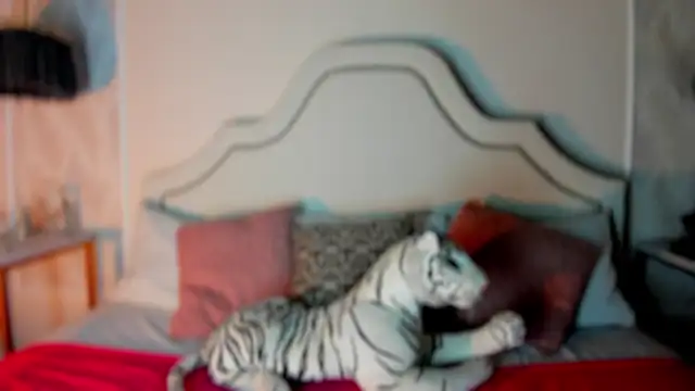 niicole garner online show from February 11, 2026, 4:34 pm