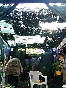 gordorichard online show from February 21, 2026, 12:39 pm